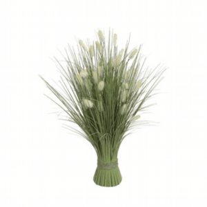 Floral Bundle Bristle Grass 60Cm