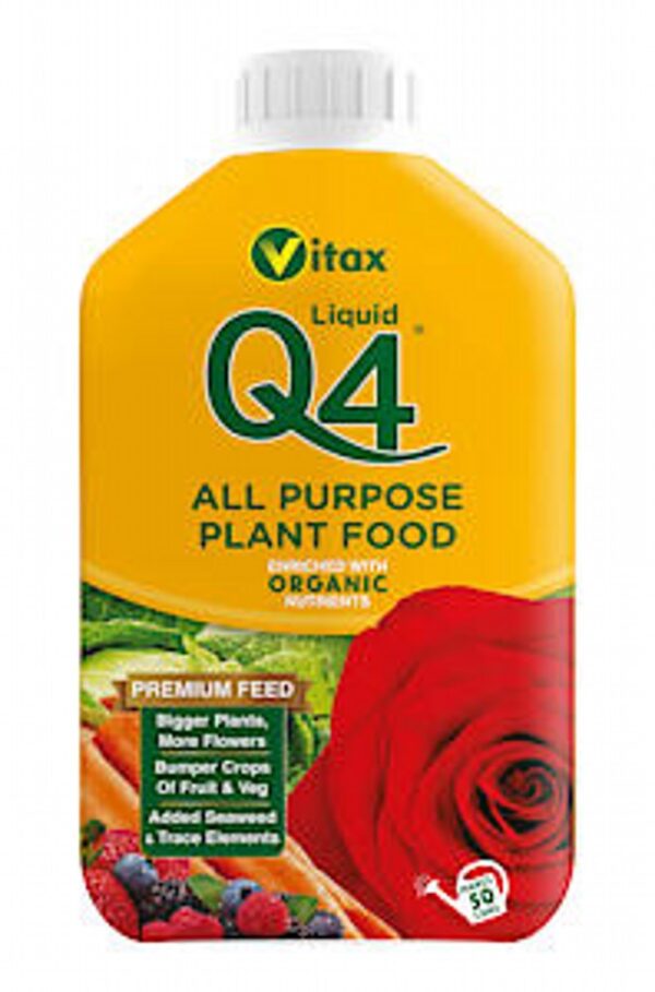 Q4 All Purpose Liquid
