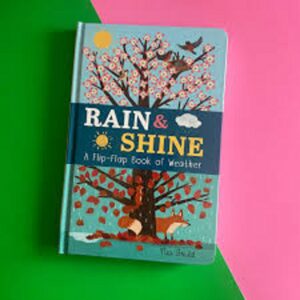 Rain & Shine Flip Flap Weather**