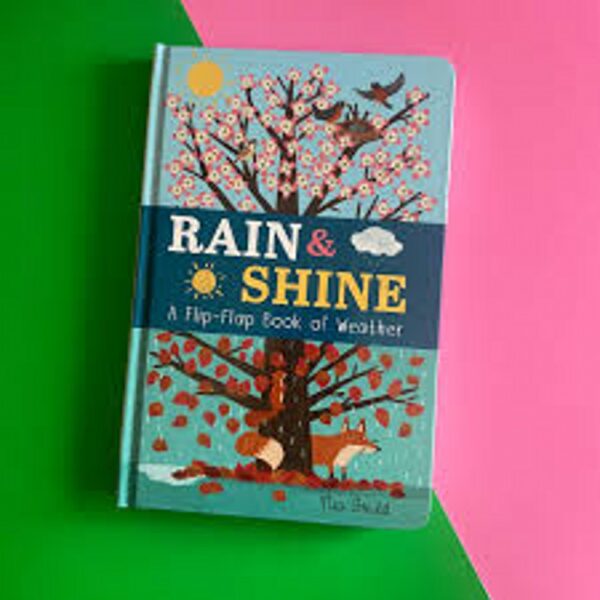 Rain & Shine Flip Flap Weather**