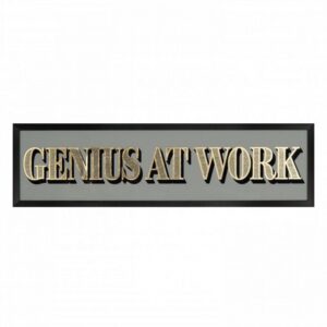Genius At Work