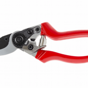 Professional Pruner