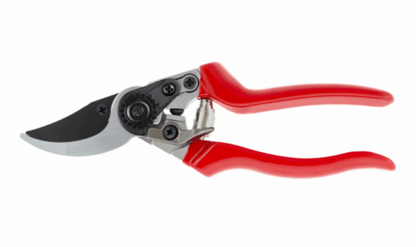 Professional Pruner