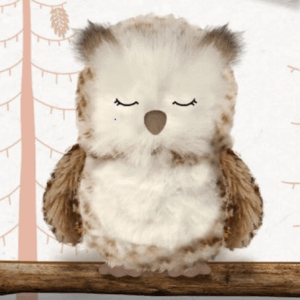 Aroma Home Owl Snuggable Hottie