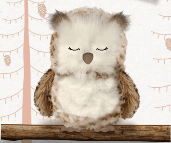 Aroma Home Owl Snuggable Hottie