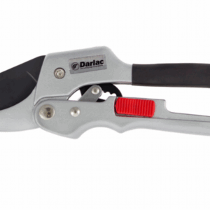 Super Classic Ratchet