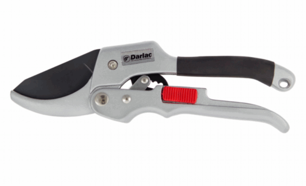 Super Classic Ratchet