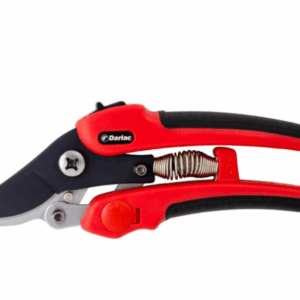 Compound Action Pruner