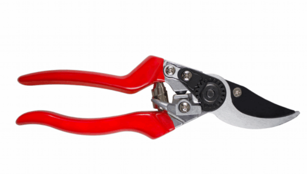 PROFESSIONAL L.H.PRUNER