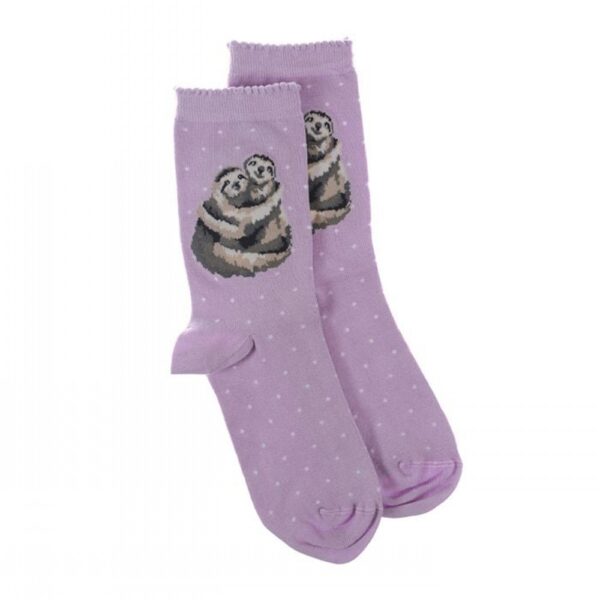 Sloth Sock - Little Card Big Hug