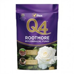 Q4 ROOTMORE