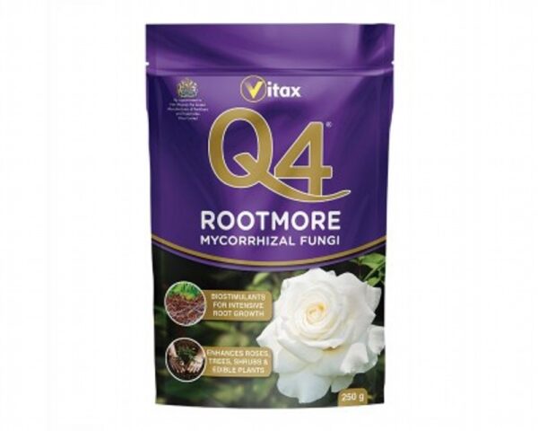 Q4 ROOTMORE
