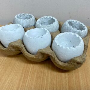 Ew Eggs In Tray