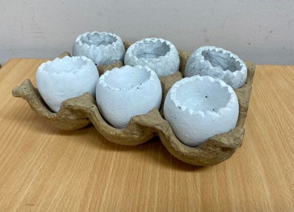 Ew Eggs In Tray