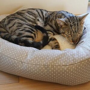 Dotty Feline Bed 56Cm