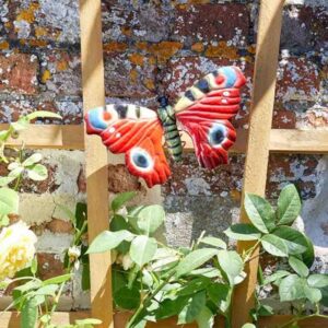 BUTTERFLY  MEDIUM