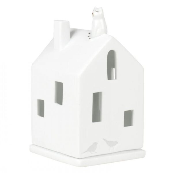 Light House Cat