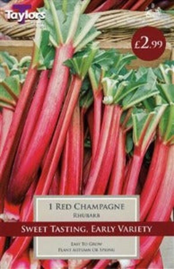 RED CHAMPAGNE RHUBARB