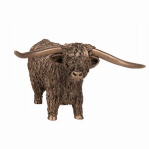 Highland Bull Standing