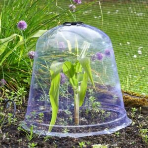 JUMBO BELL CLOCHE