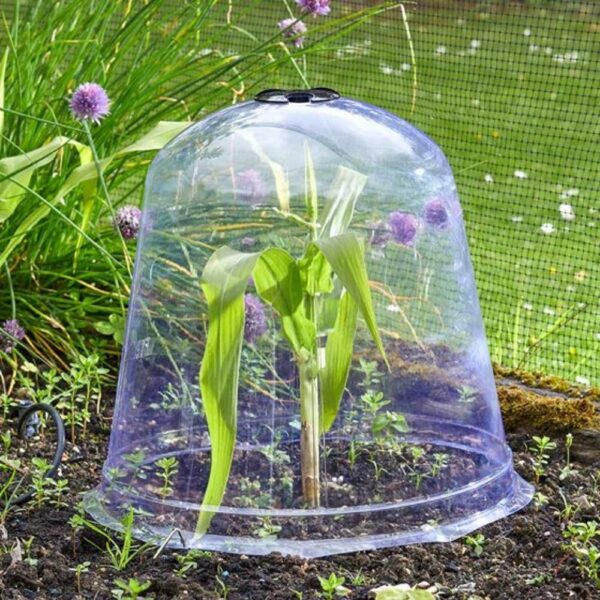 JUMBO BELL CLOCHE