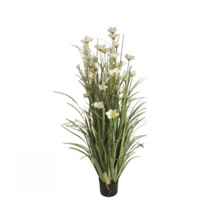 Camellia 120Cm White