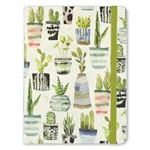 Journal Mid Watercolor Succulents