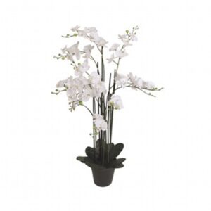 Decor Orchid In Black Pot 115Cm