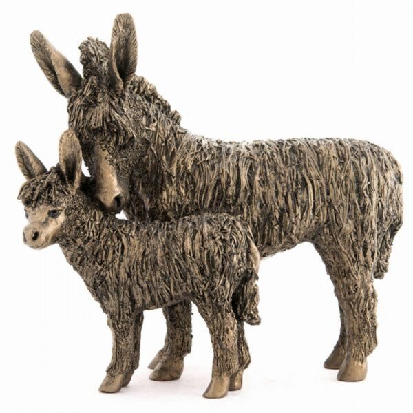 Donkey And Foal Standing