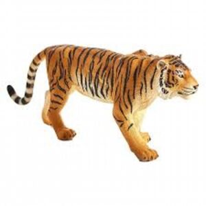 Bengal Tiger