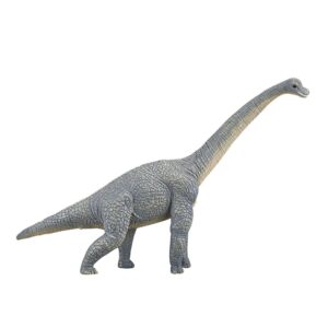 Brachiosaurus  X-Large