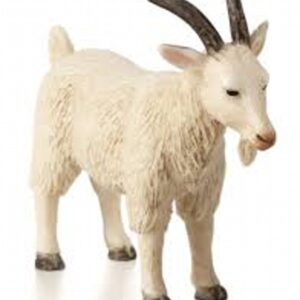 Billy Goat