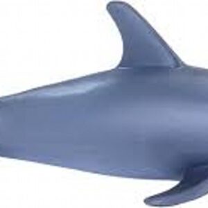 Bottlenose Dolphin