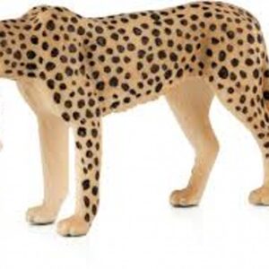 Cheetah Female With Cub