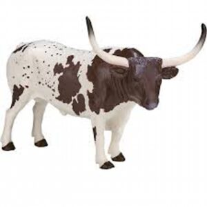 Texas Longhorn Bull