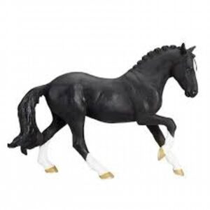 Hanoverian Black