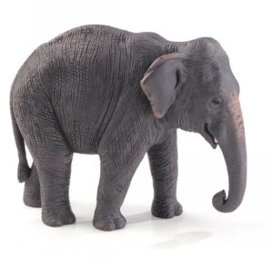 Aisian Elephant