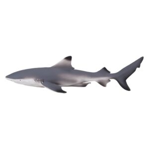 Black Tip Reef Shark