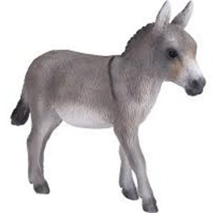 Donkey