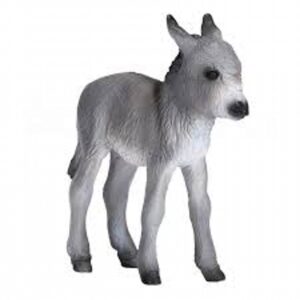 Donkey Foal