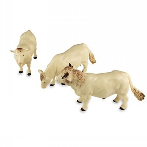 Cow Set - Charolais