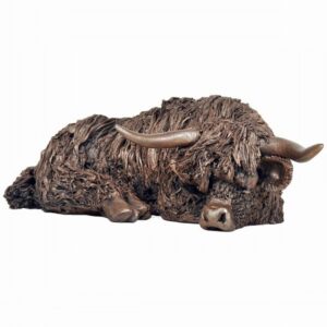 Highland Cow Resting