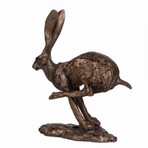 Bronze Hurricane Hare