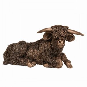 Highland Bull At Rest