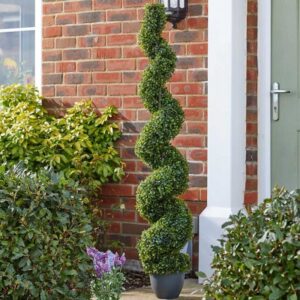 Topiary Twirl Hedge
