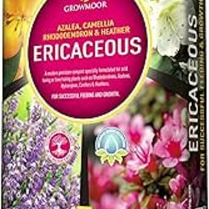 Ericaceous Compost 60L