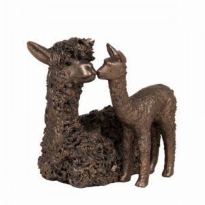 Alpaca And Cria