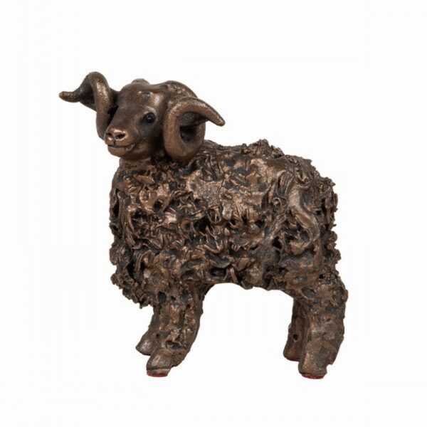 Swaledale Ram Standing