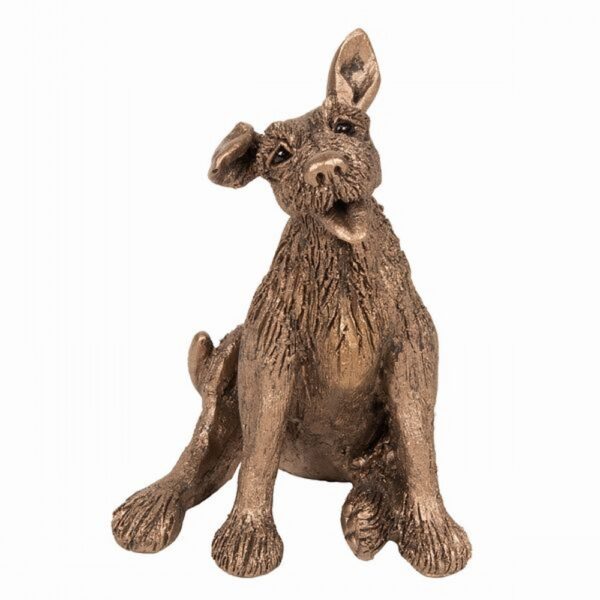 Eddie - Terrier