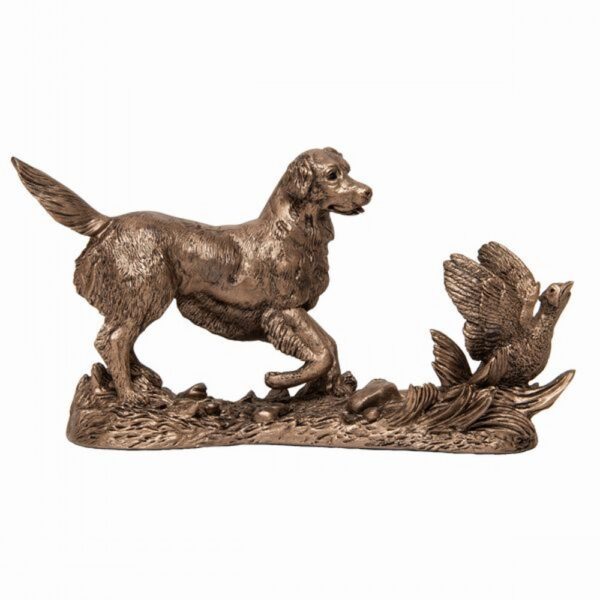 Gundog Retriever Flushing